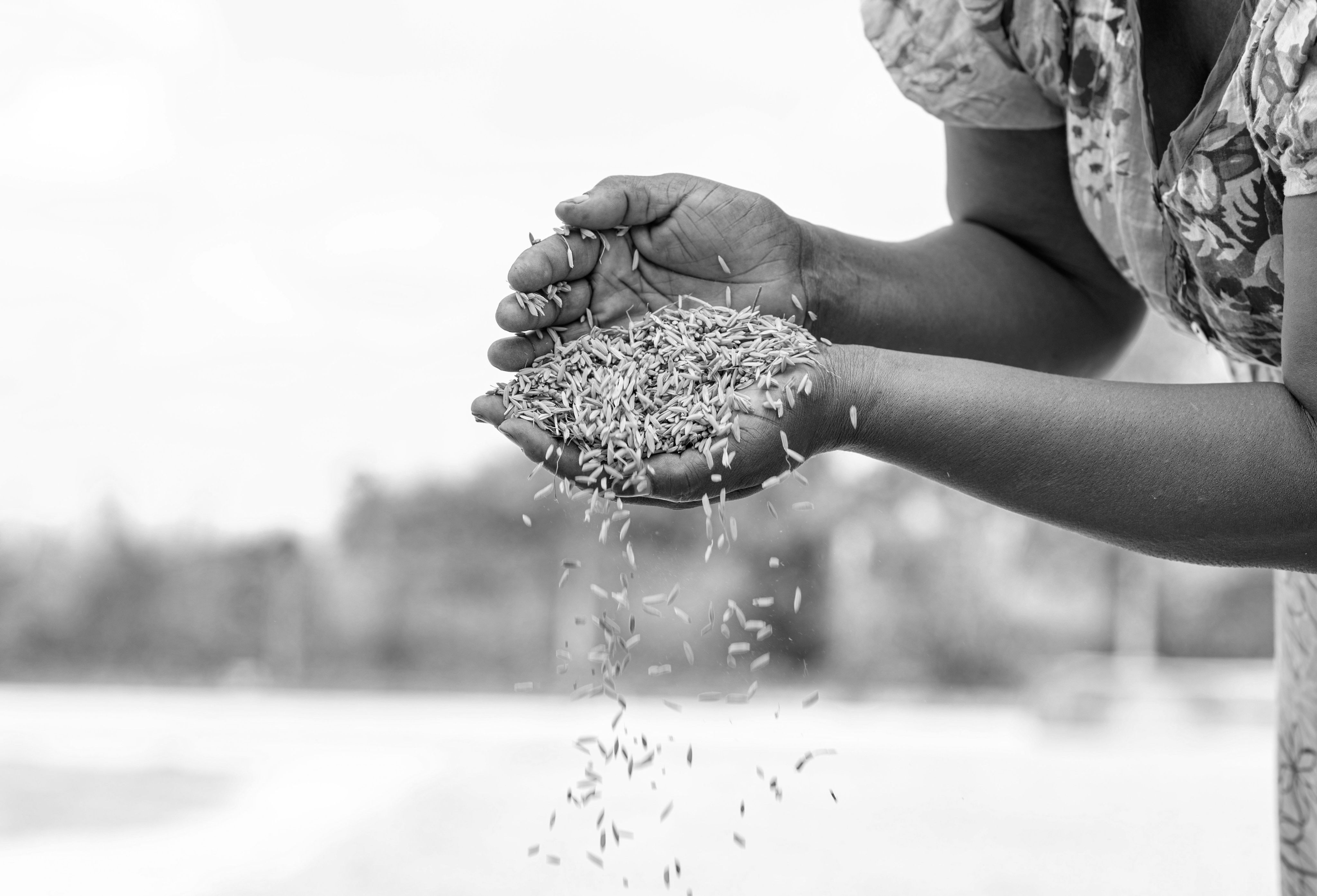 A woman holding a handful of grain in her hands