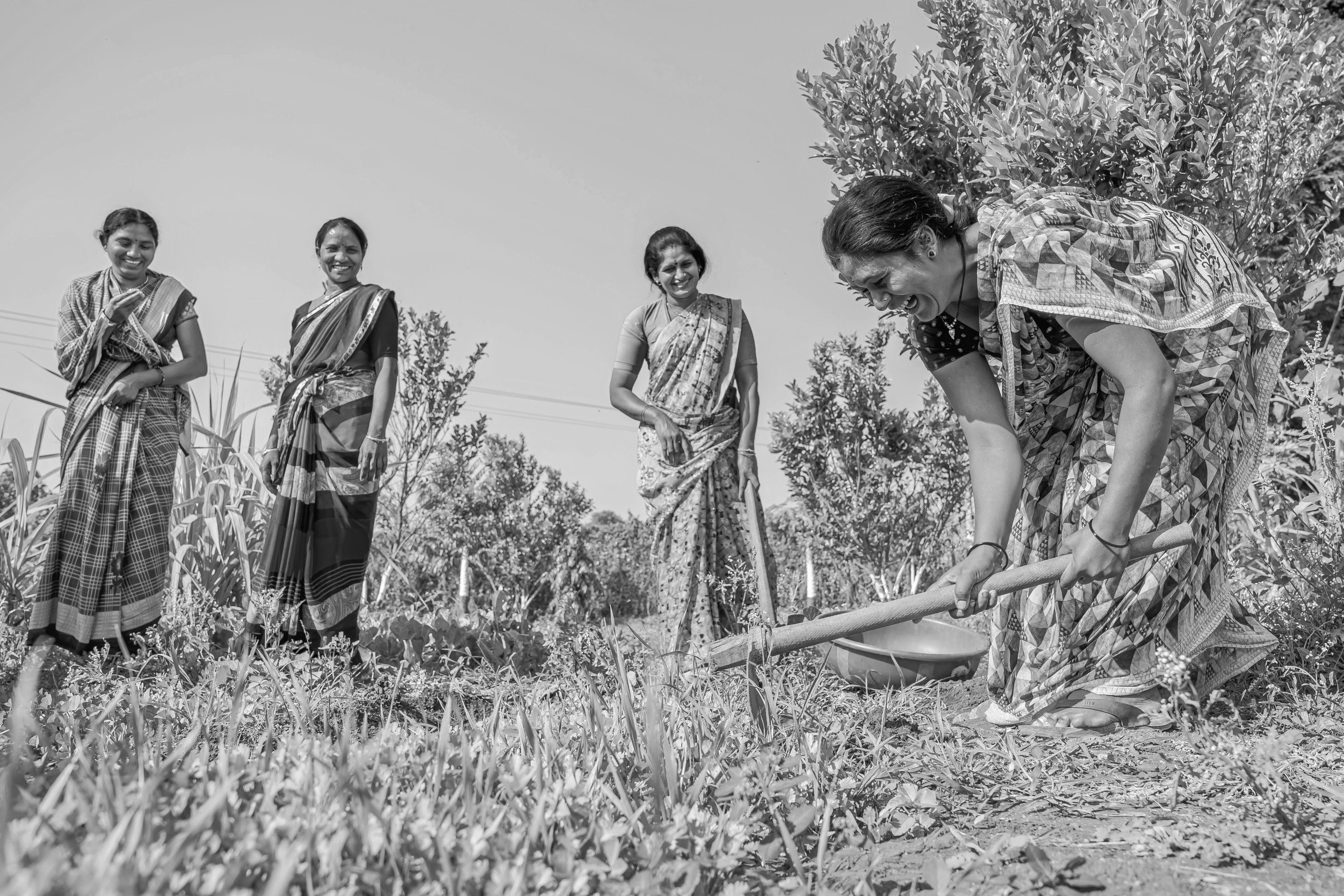 A group of South Asian women are doing agriculture work