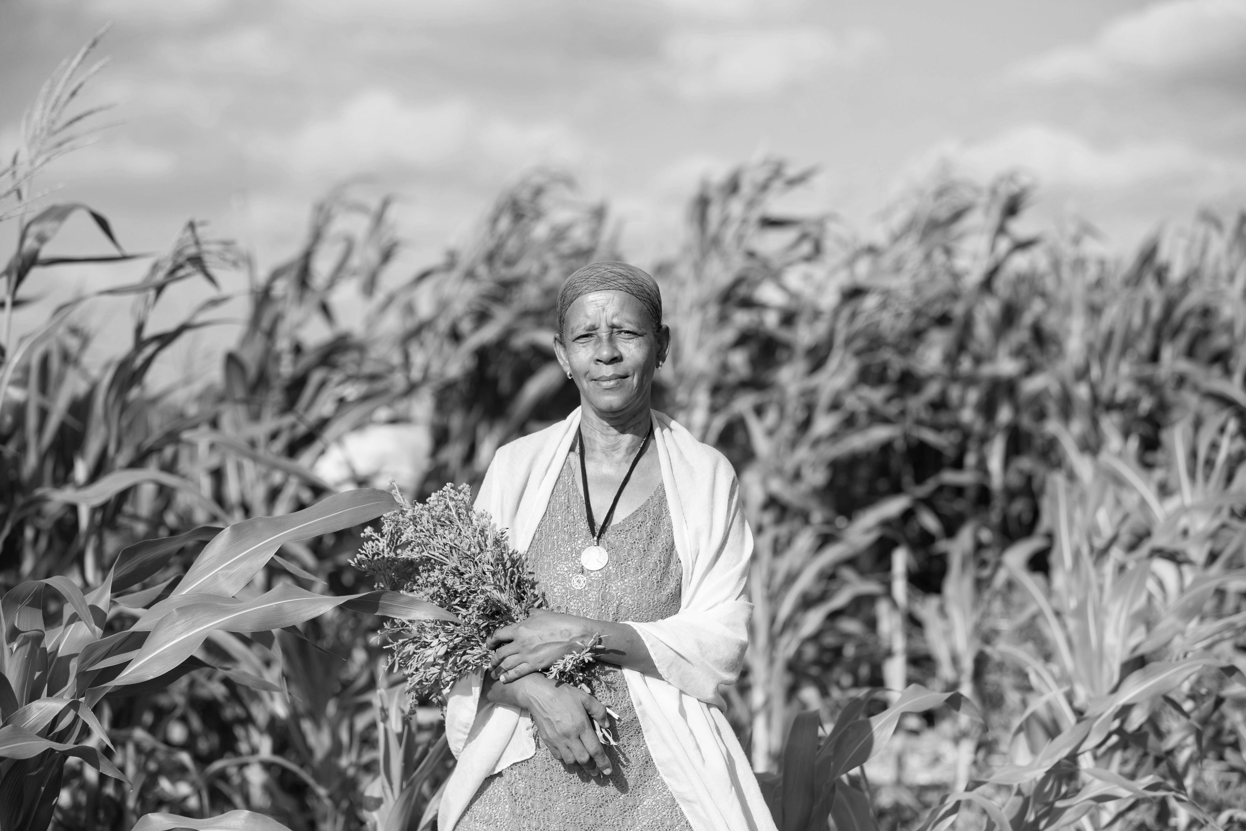 A Brown woman standing in a corn field holding a plant