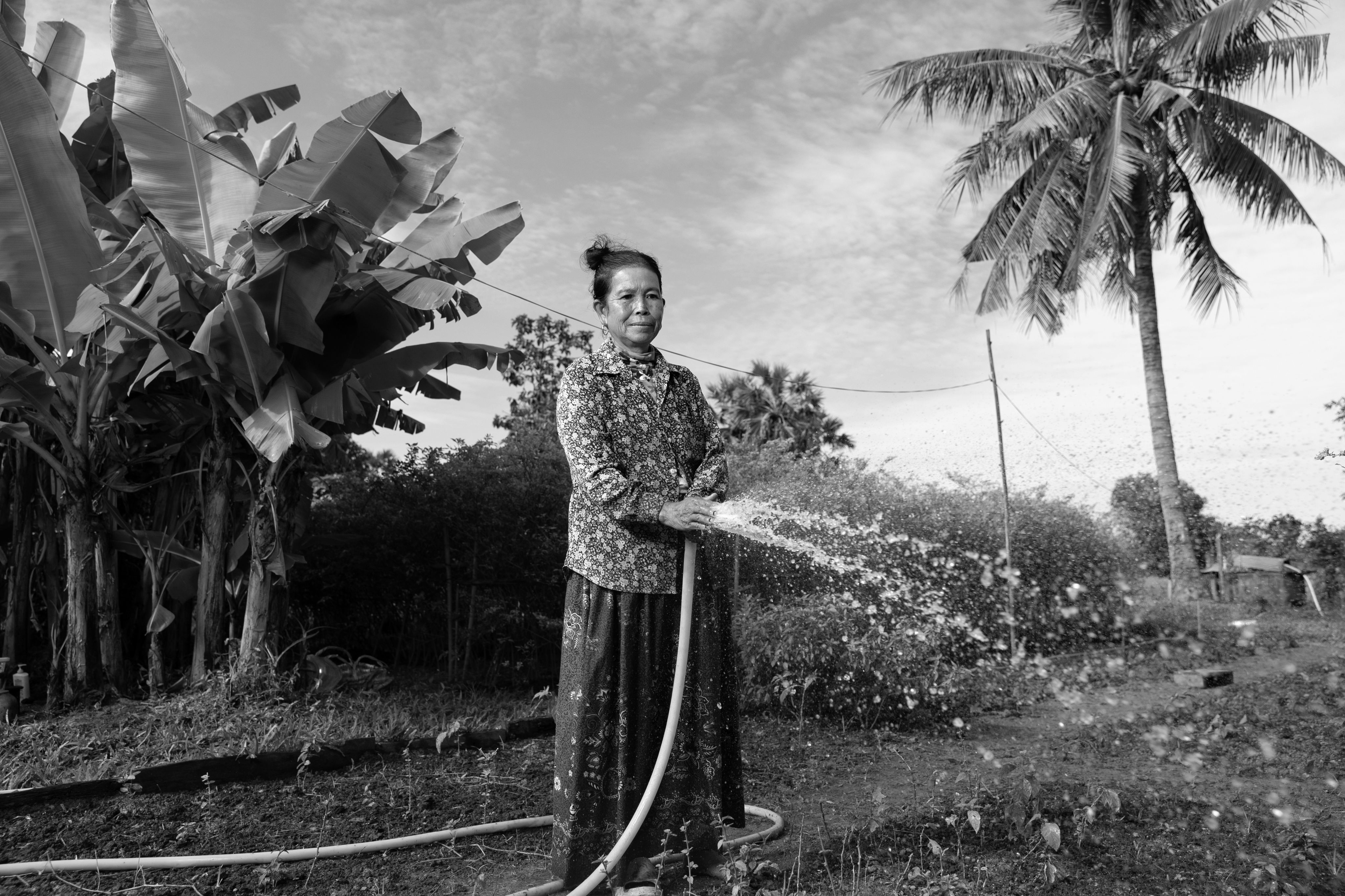 A cambodian woman waters her crops