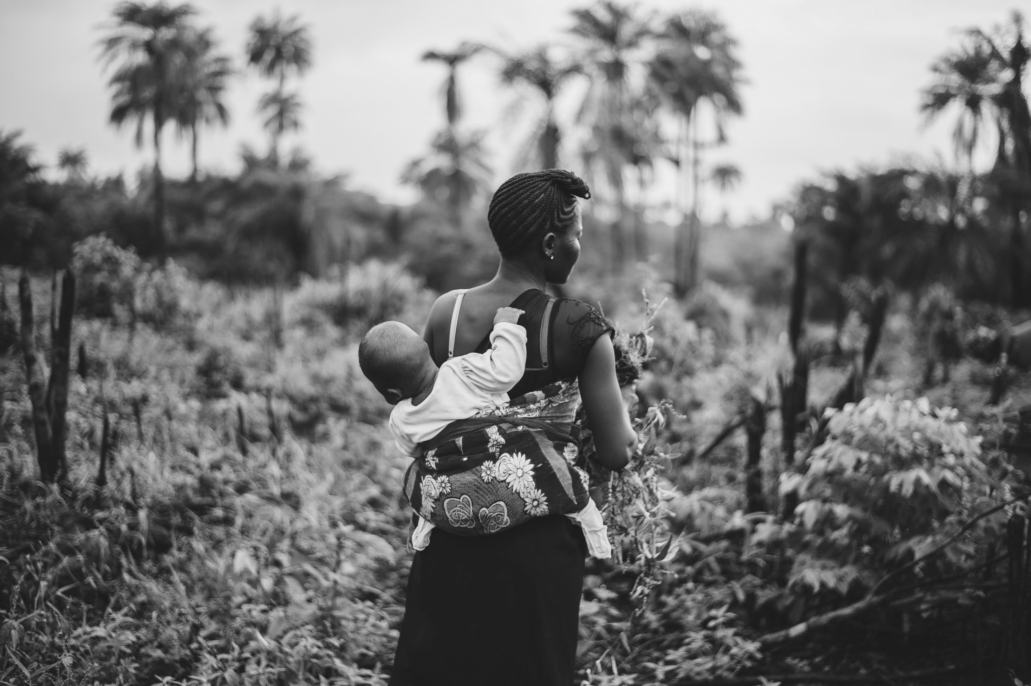 A Black woman is harvesting crops and has a baby in a carrier on her back