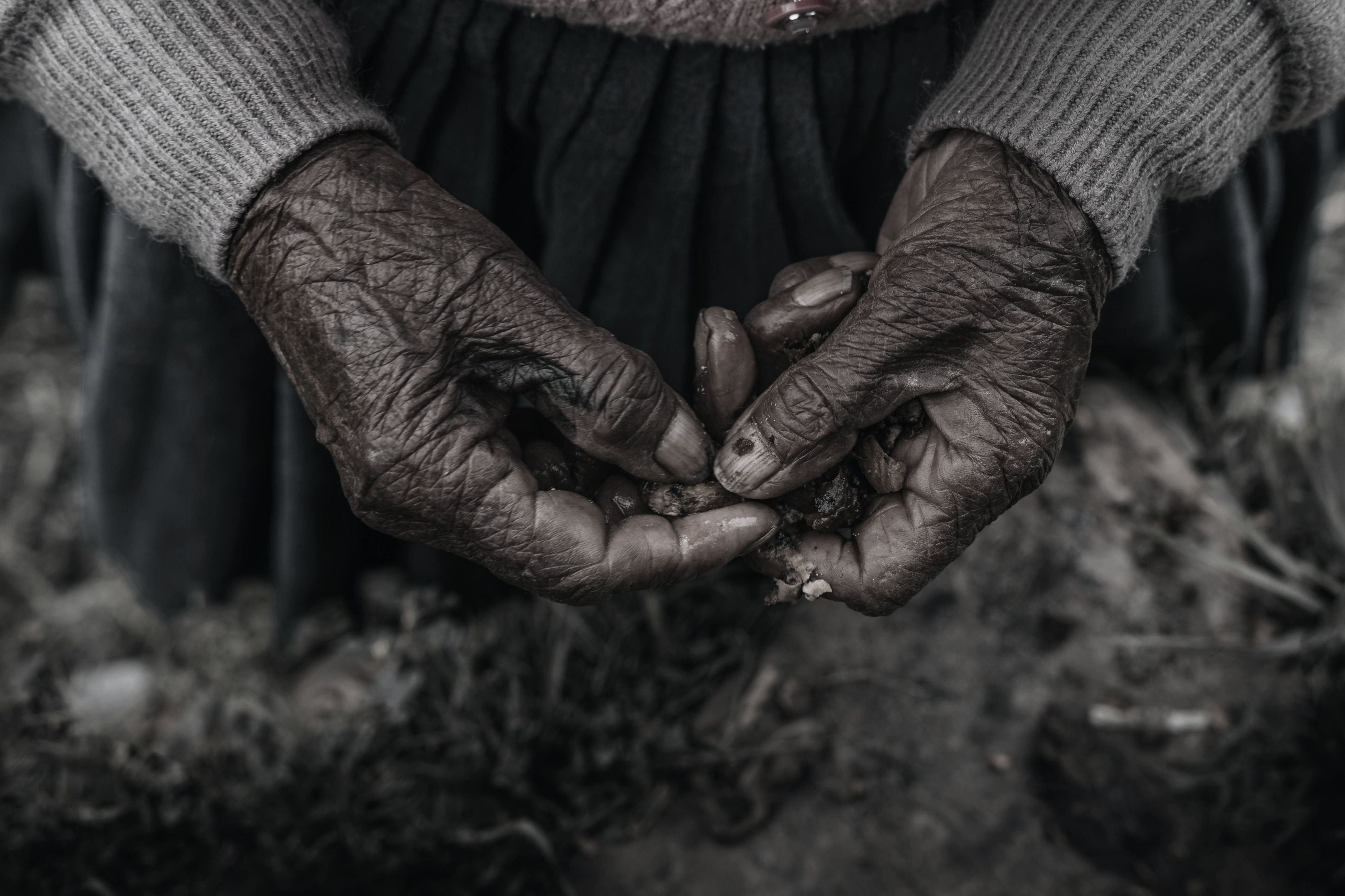 Old hands holding seeds