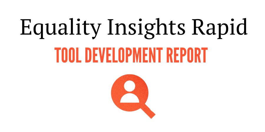 Equality Insights Tool Development Report