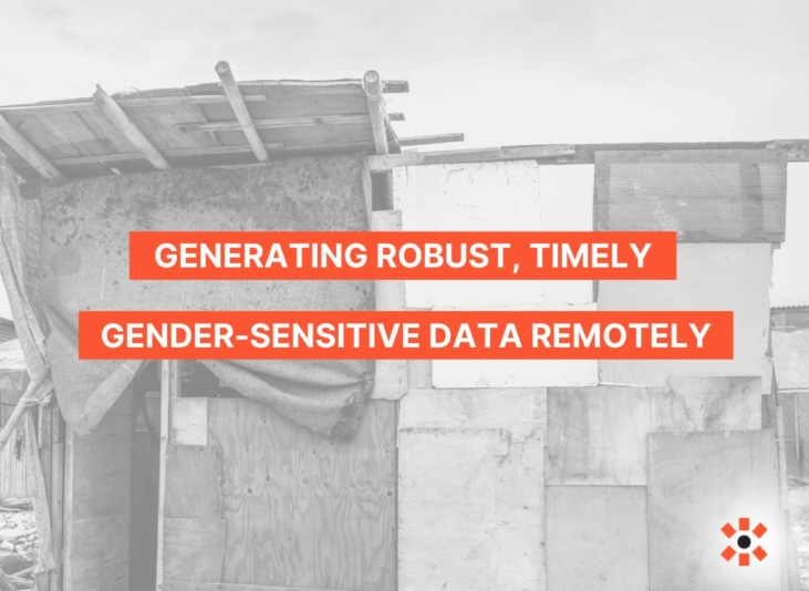 A house made from many different materials with text that says "Generating robust, timely, gender-sensitive data remotely".