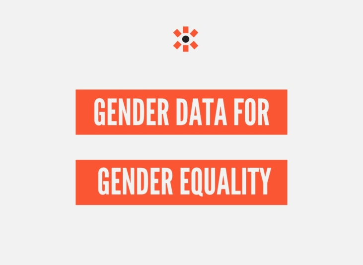Large grey text that says "Gender data for gender equality" with two orange lines to make an equal sign.
