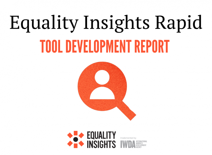 A graphic that reads Equality Insights Rapid, Tool Development Report. There is a looking glass in the centre with a graphic of a person in the middle.
