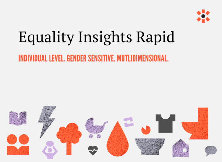 Grey background with text about Equality Insights Rapid. Orange, purple and grey icons that represent the dimensions it measures.
