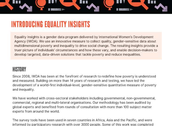 A screenshot of the infographic which includes orange and black text, a partially shaded world map indicating countries where Equality Insights has been used.