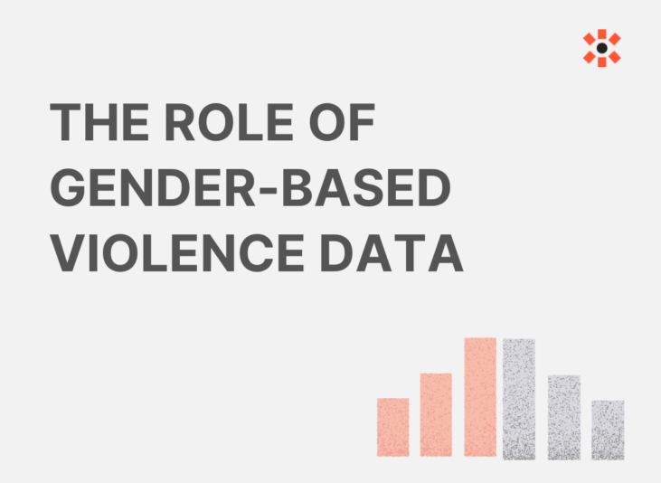 Large grey text that reads 'the role of gender-based violence data'. There is an orange and grey grey in the background.