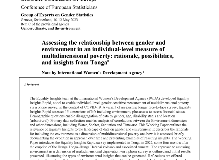 Front page of the working paper which includes several paragraphs of text