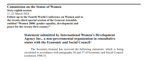 Screenshot of IWDA's submission to UN Women for CSW 68