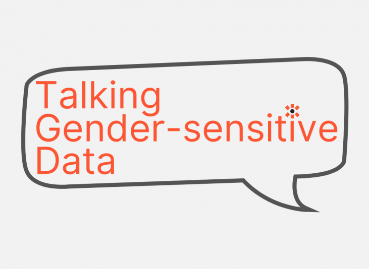 A grey tile with orange text that reads 'Talking Gender-sensitive Data'. The text is inside a grey speech bubble.