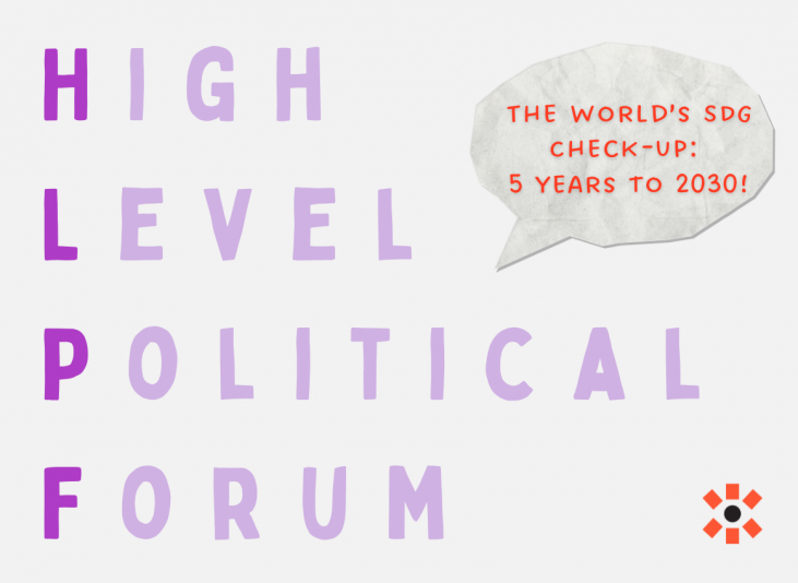 High Level Political Forum